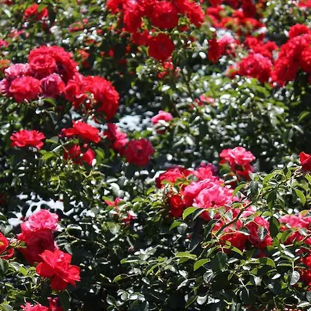 Agape Niort- Otel 2*